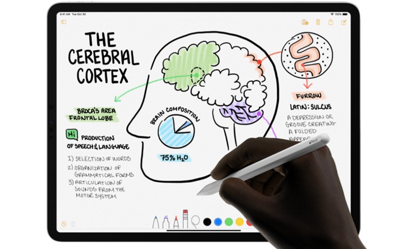Bạn có thế dùng cảm ứng máy bằng 10 ngón tay hoặc chiếc bút Apple Pencil