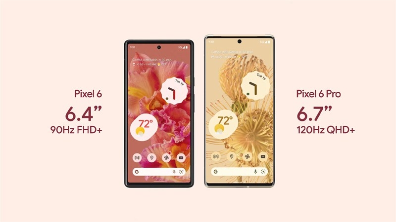Bộ tùy chọn hiển thị trên 6 Pro