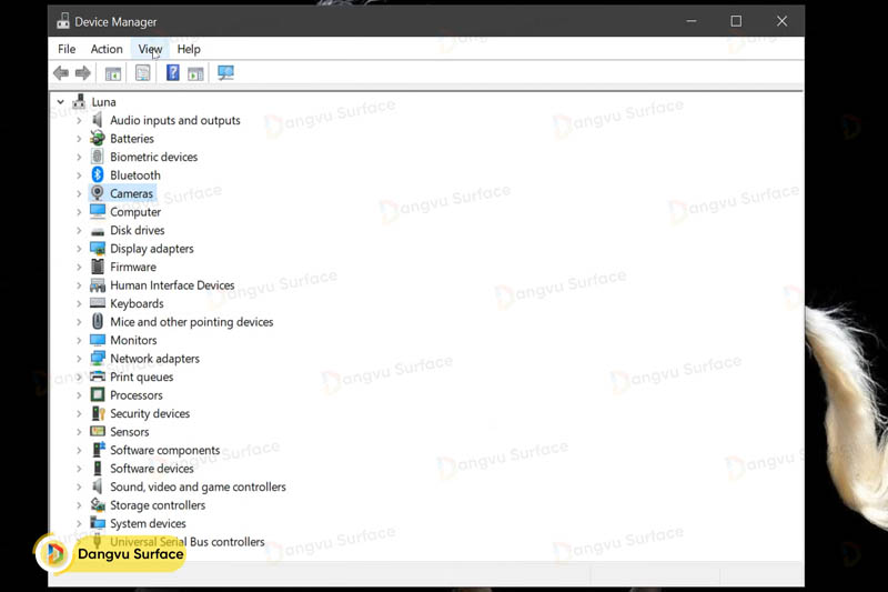 Đảm bảo Camera được bật trong trình Device Manager