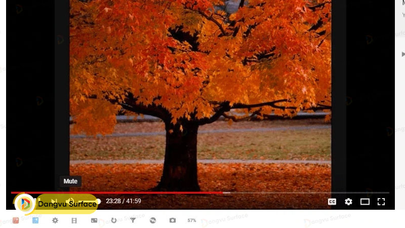 Điều chỉnh âm lượng trên các trang web video