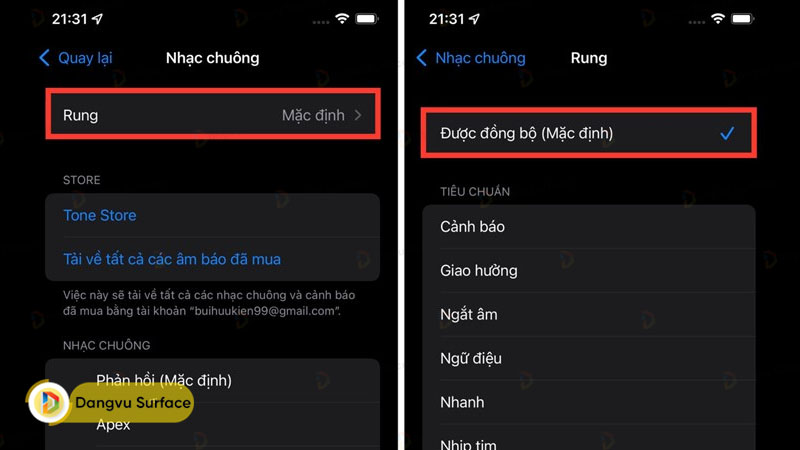 Kiểm tra cài đặt rung trên iPhone