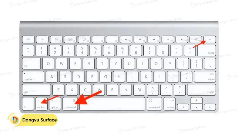Nhấn Command + Control + Power