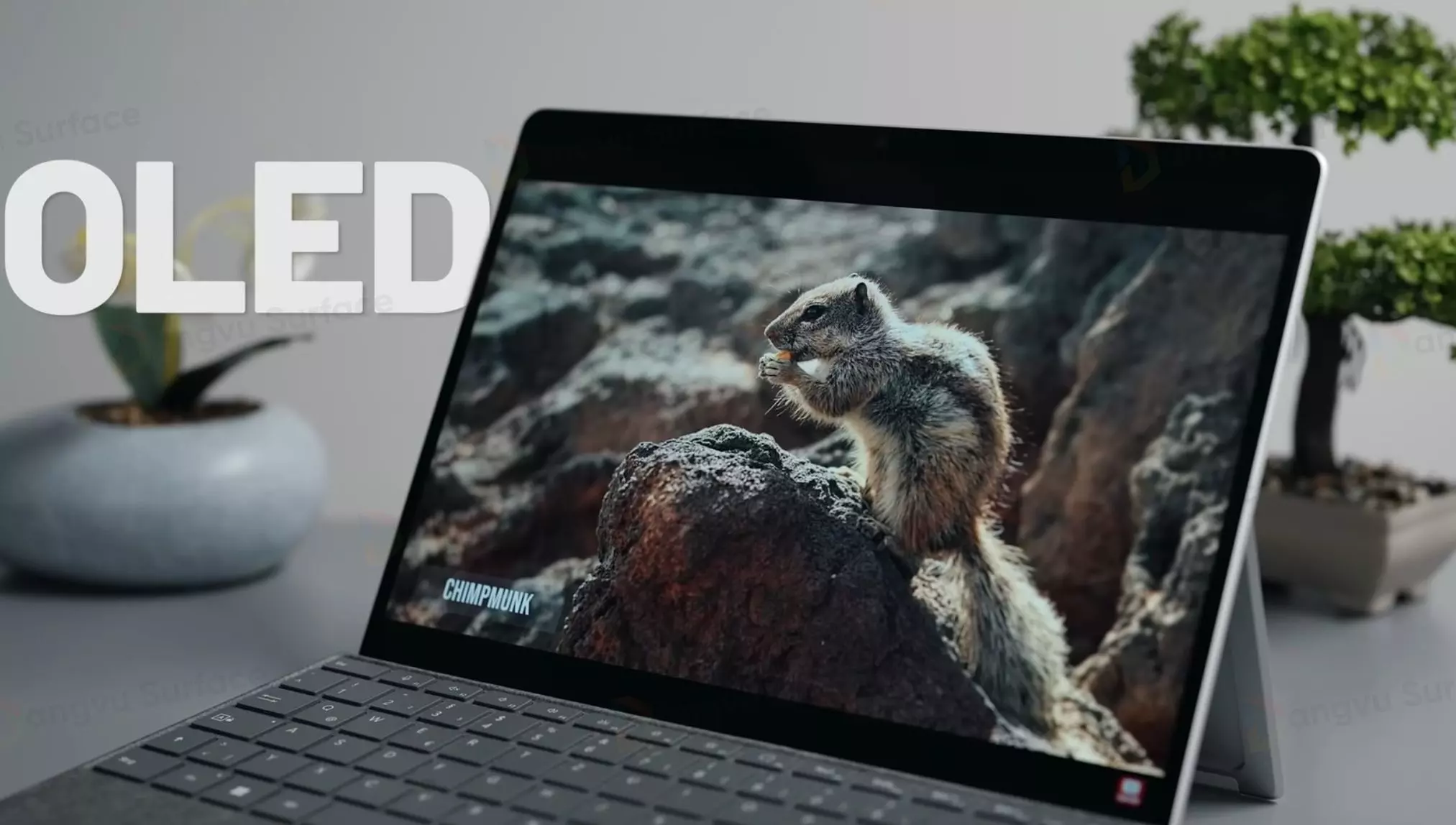 Surface Pro 11 với màn hình OLED nổi bật