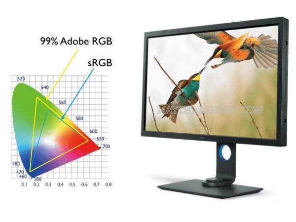 Chuẩn màu DCI-P3 và AdobeRGB đều sở hữu nhiều gam màu sắc hơn chuẩn màu sRGB