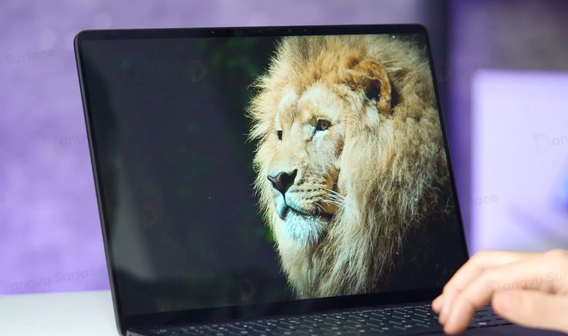 Màn hình Laptop 7 có kích thước lớn hơn Pro 11