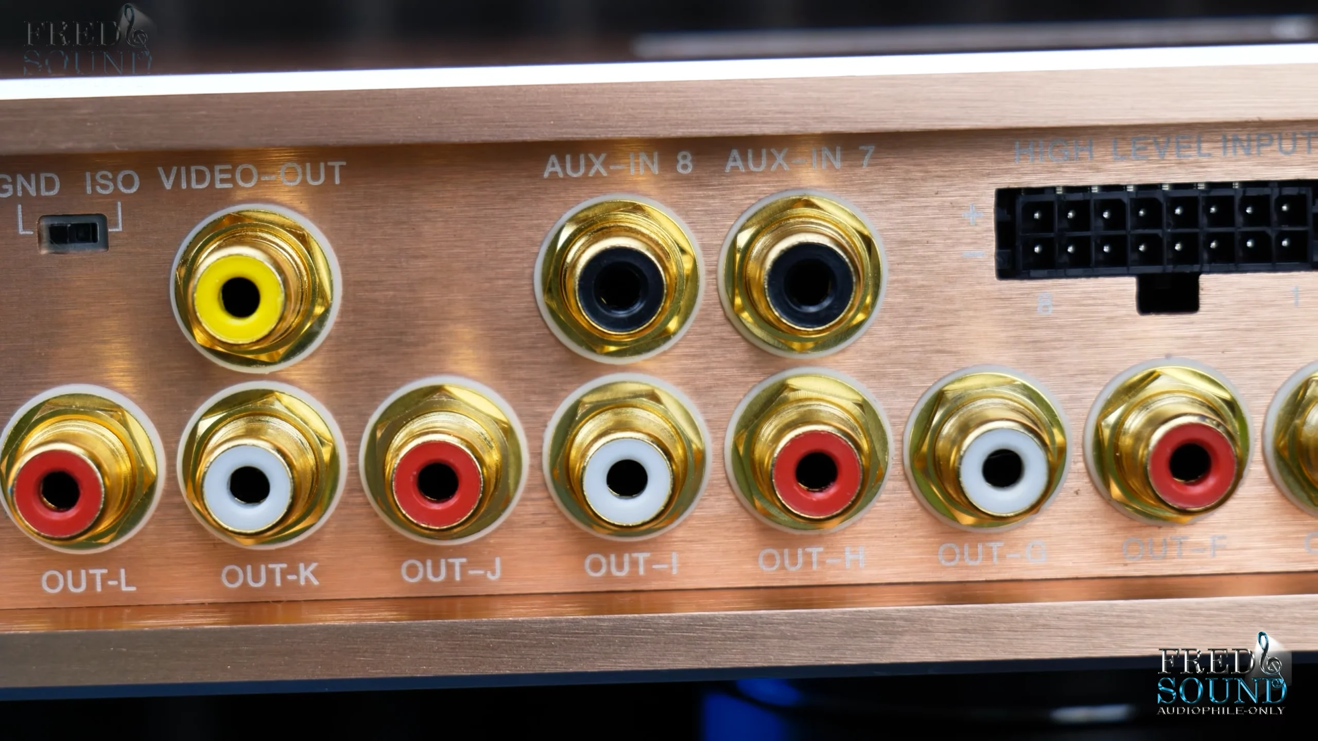 Cổng RCA Goldhorn P2 Pro DSP