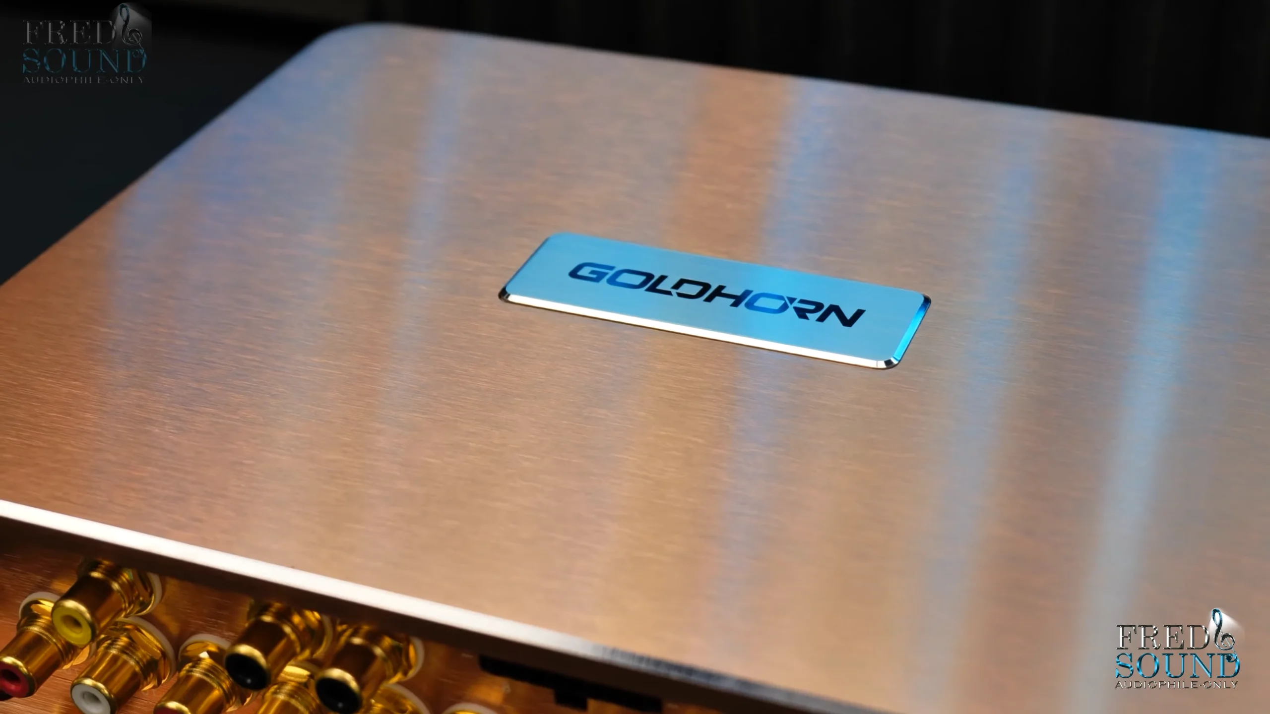 Vỏ của Goldhorn P2 Pro DSP