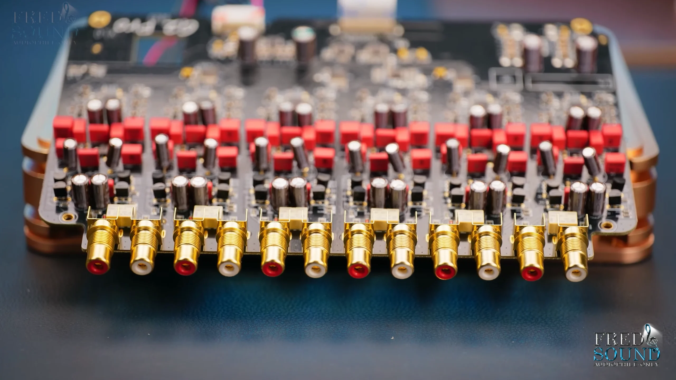Cổng out Goldhorn P2 Pro DSP9