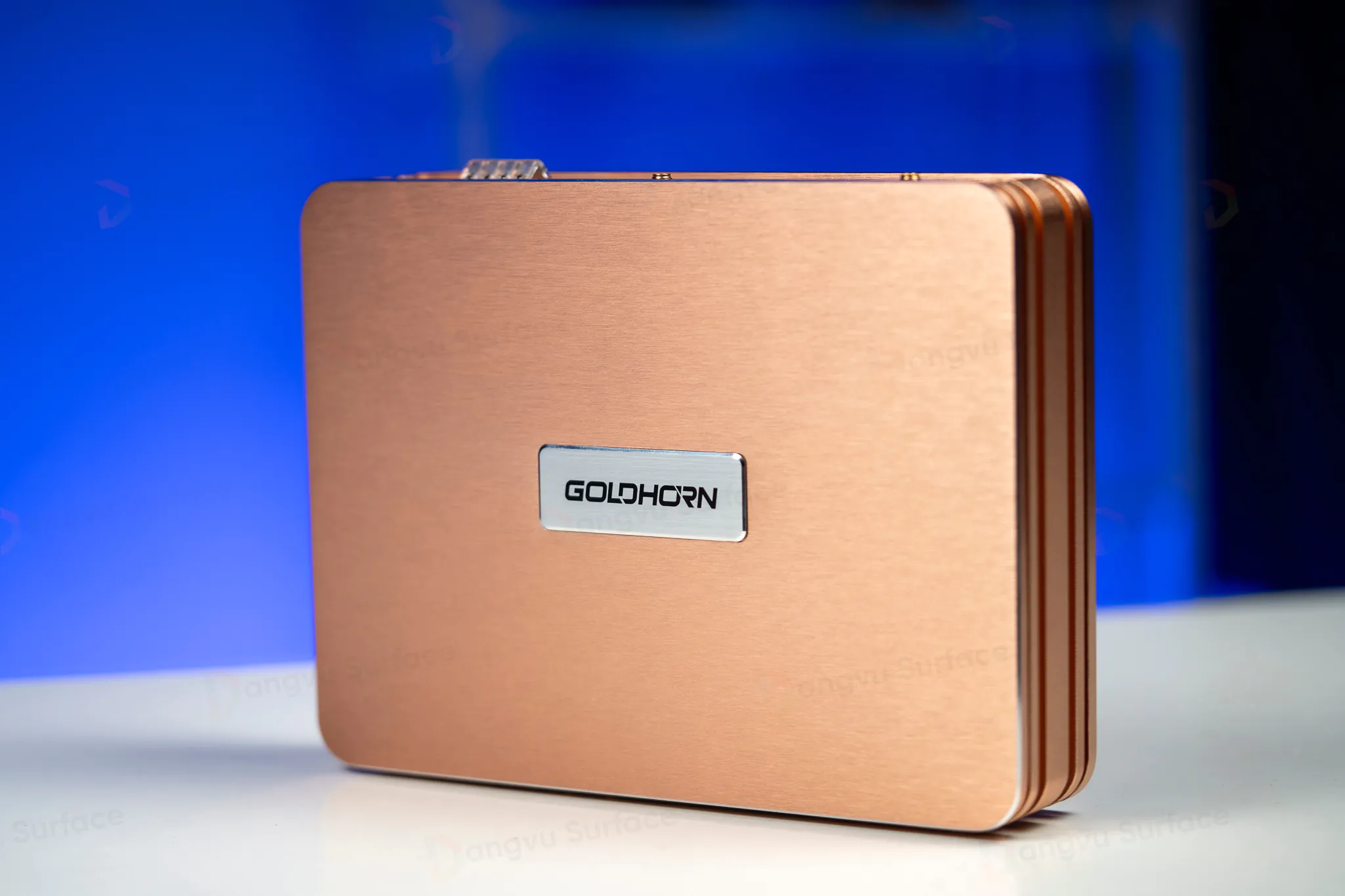 Thiết kế DSP Goldhorn P2 Pro V2