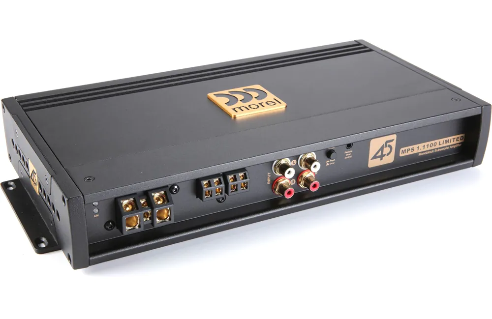 AMP đến từ morel