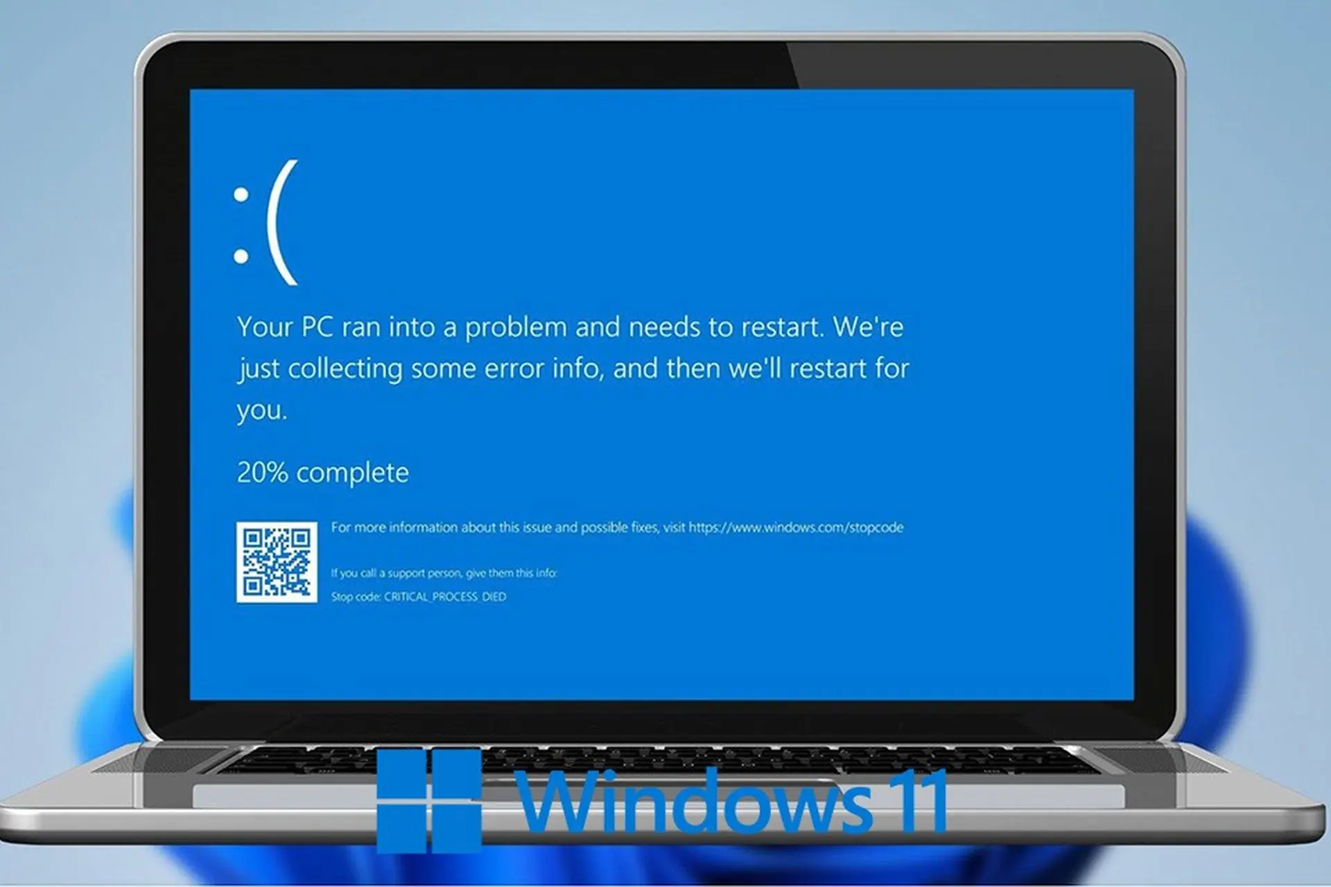 Khắc phục các lỗi ứng dụng thường gặp trên Windows 11