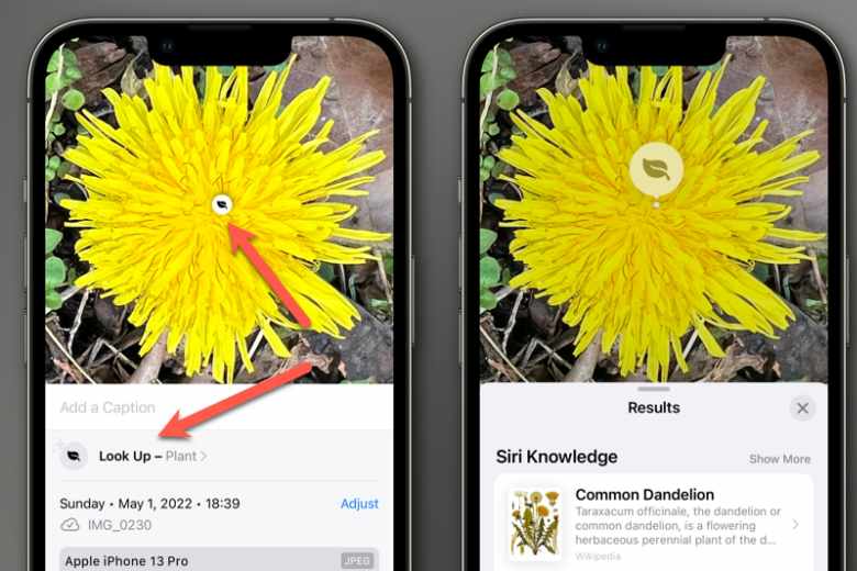 Sử dụng tính năng Look Up để nhận diện hình ảnh