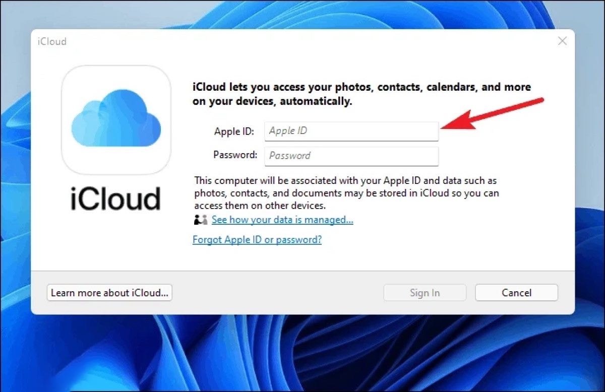 Hướng dẫn đồng bộ ảnh iCloud với Windows 11 dễ dàng như máy Macos