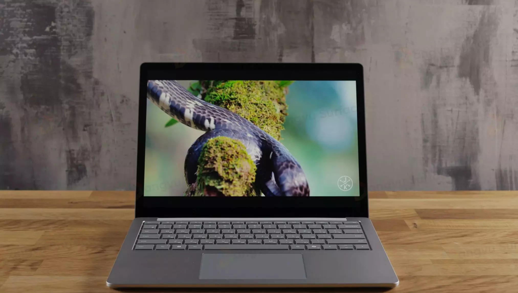 Một màn hình tốt hơn phiên bản cũ và bằng với những thiết bị Surface cao cấp khác