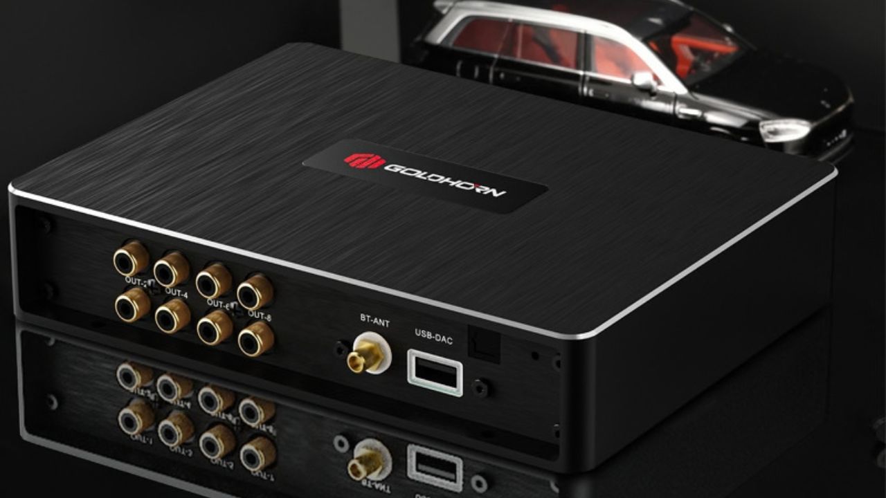 Goldhorn P1 DSP