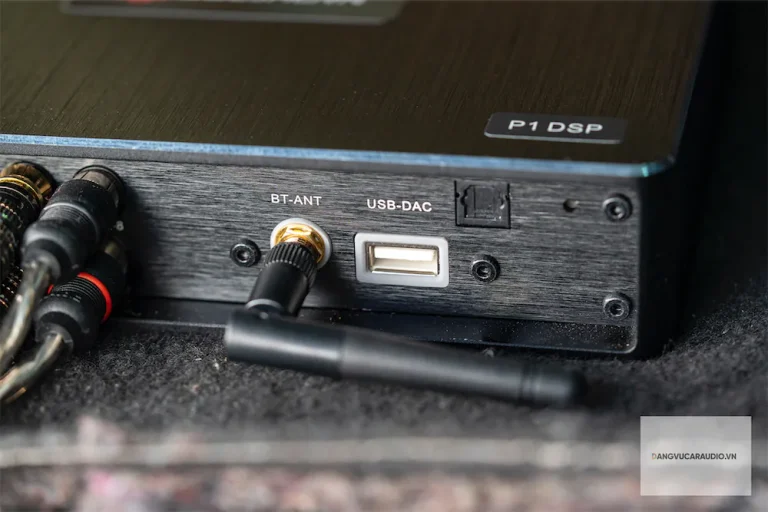 Goldhorn P1 DSP