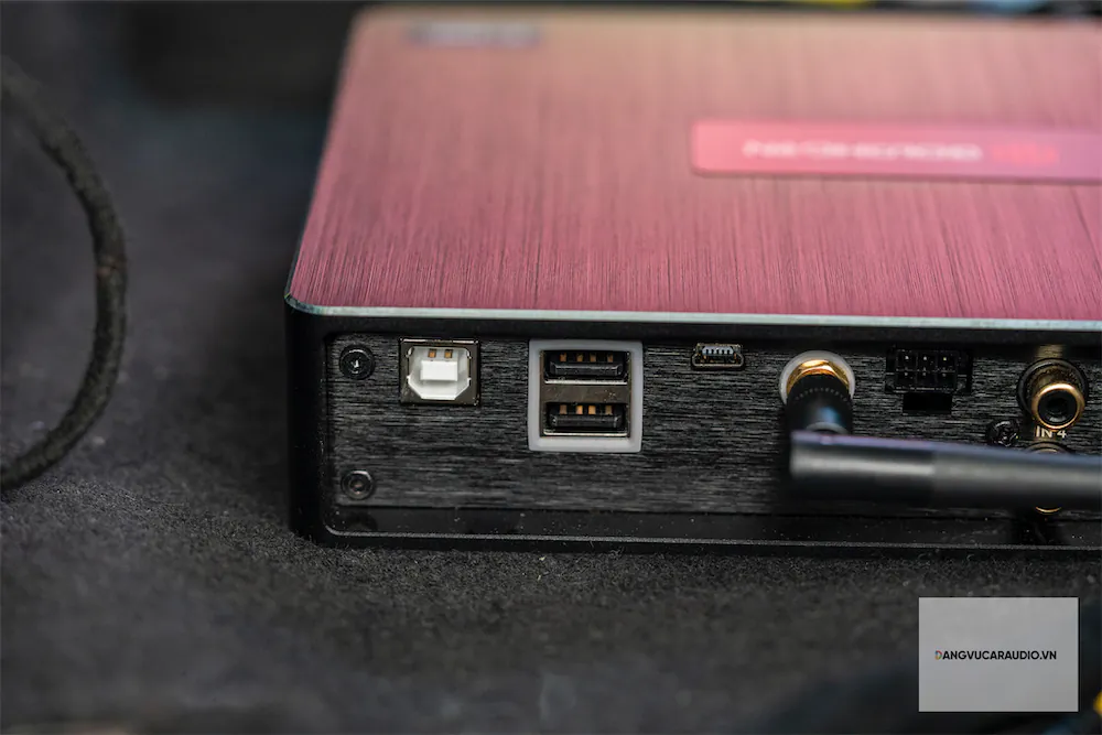 Goldhorn P1 DSP