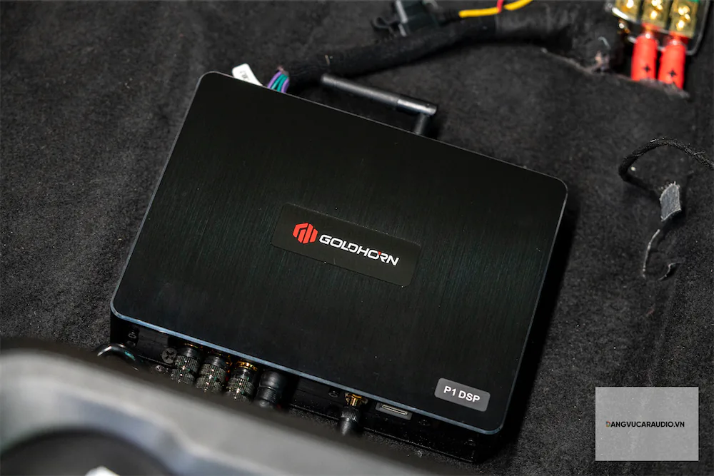 Goldhorn P1 DSP